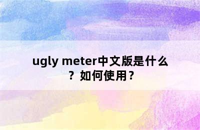 ugly meter中文版是什么？如何使用？